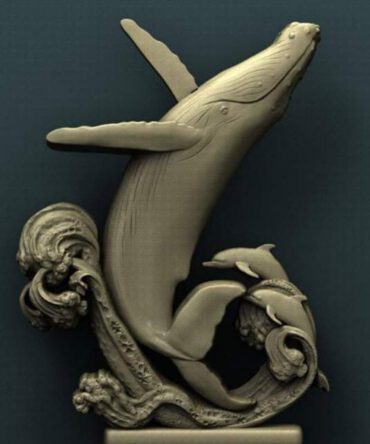 Humpback Dolphins