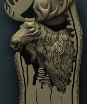 Moose