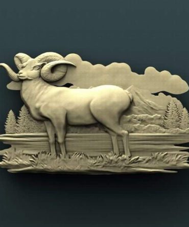 Ram