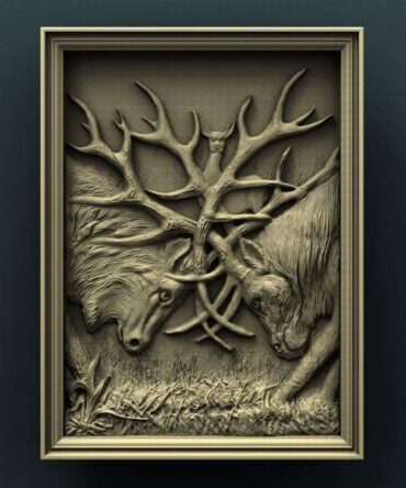 Tangled Antlers