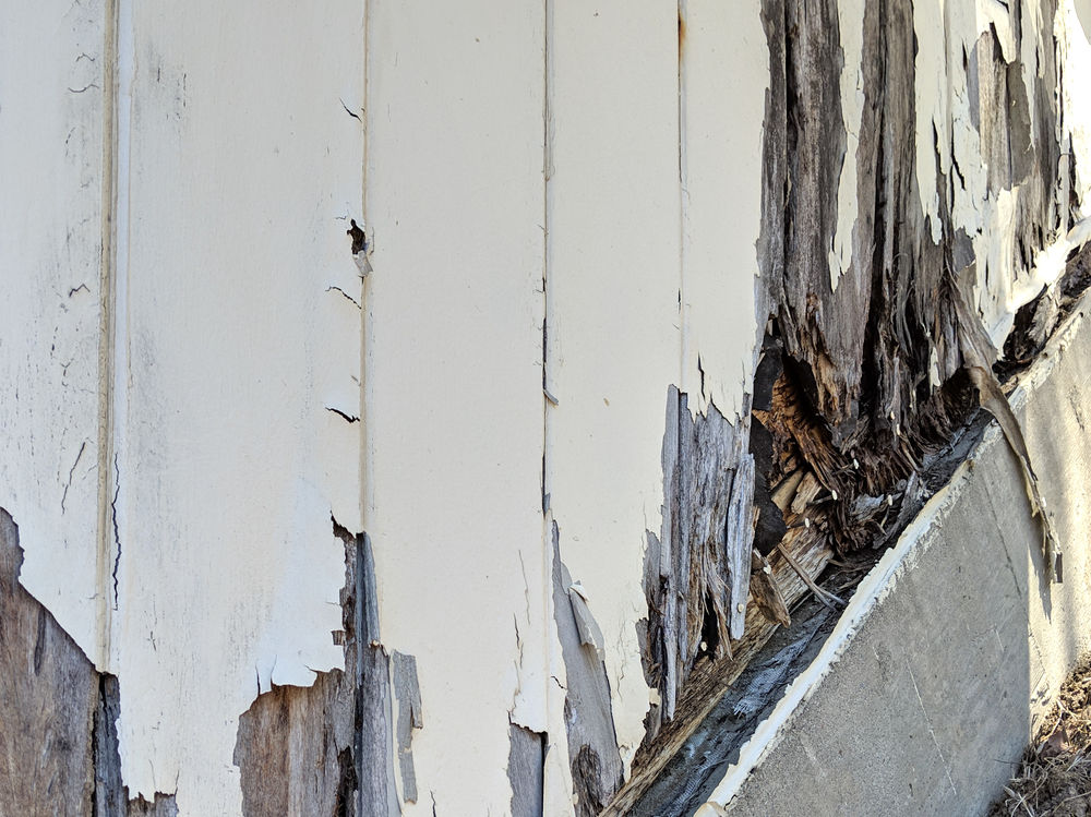 Wood Rot Repair Epoxy - Choosing a Paste Filler Or an Epoxy - All