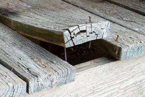 what is wood rote