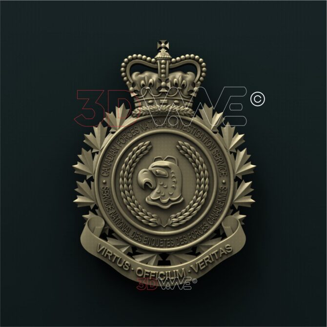 Canadian forces national investigation service