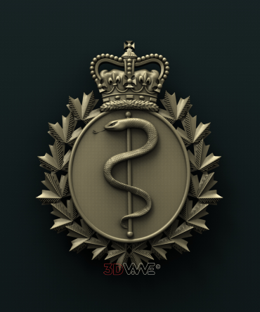 Royal Canadian Medical Services