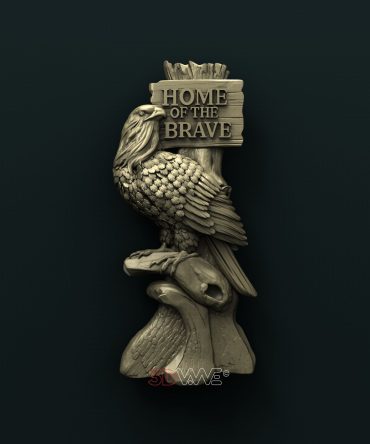 Home of the brave